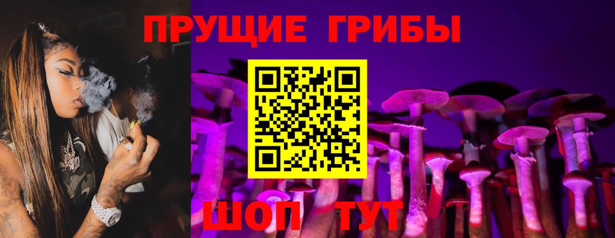 Сертолово  Галлюциногенные грибы мухоморы  Псилоцибиновые грибы Psilocybe  магазин продажи   Вход с VPN 
